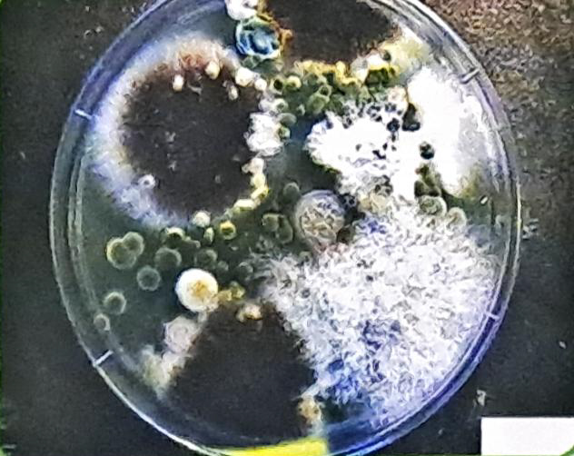 Air Testing Cassettes
