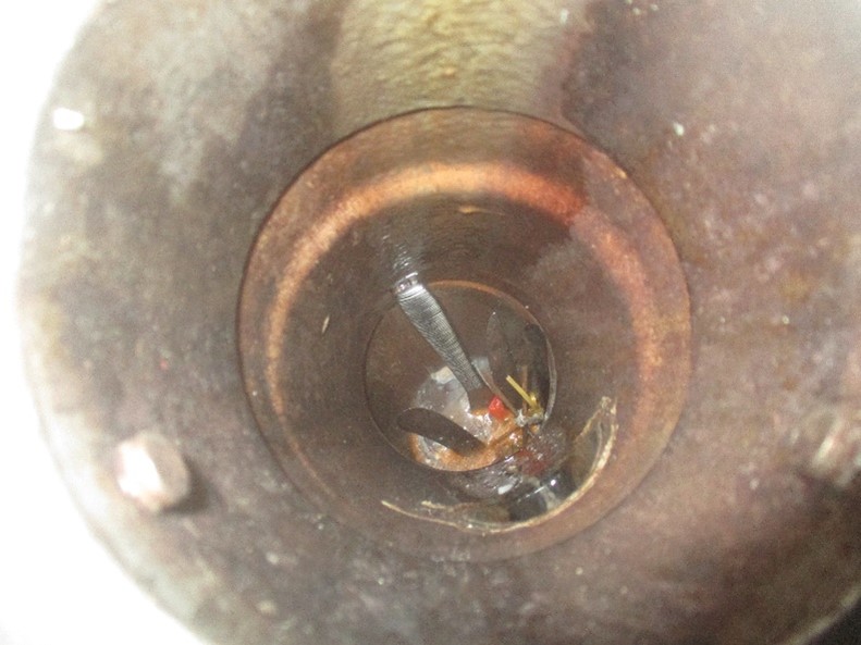 Second Drain Line Before Cleaning