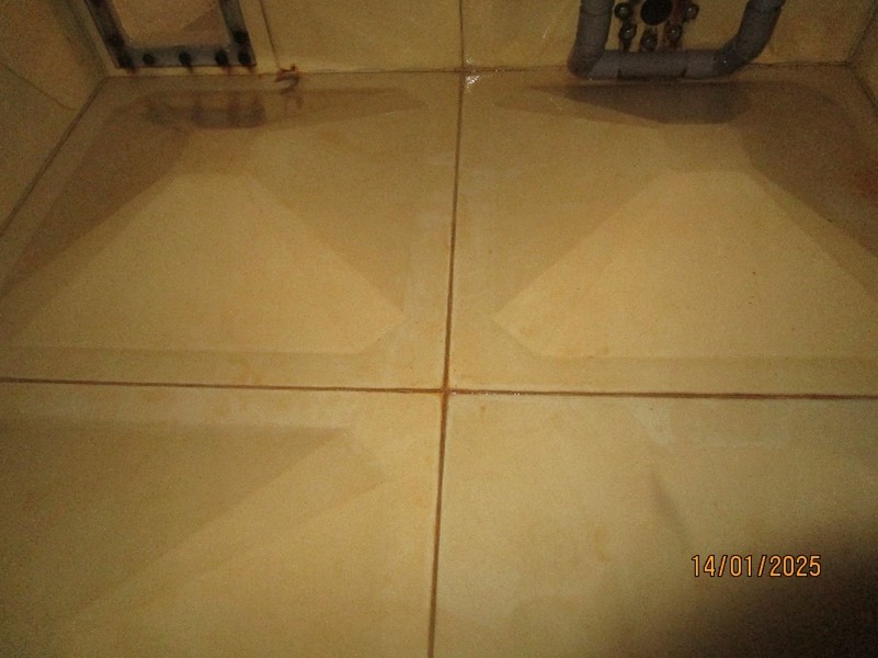 Second Clean Water Tank After Cleaning